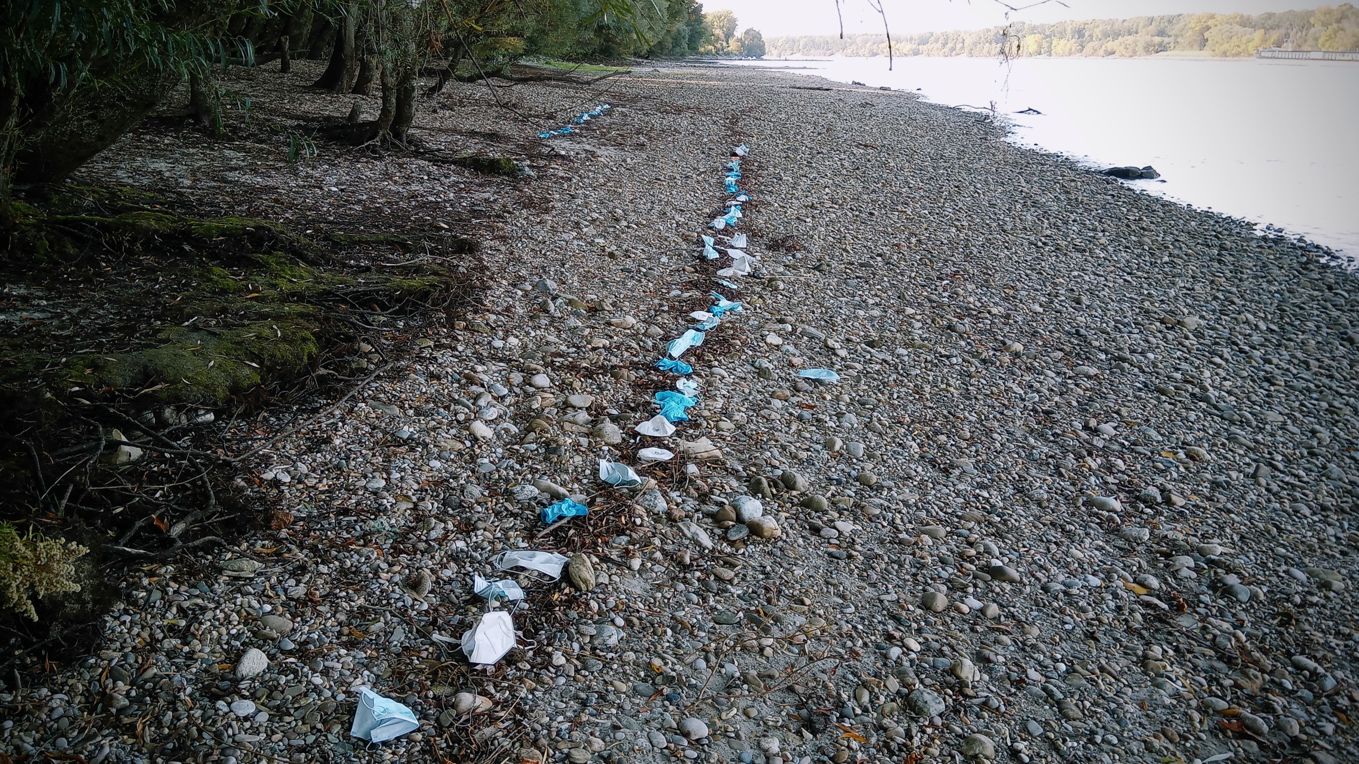 Atemschutzmasken aufgereiht am Kiesstrand liegend. Rechts hinten die Donau.